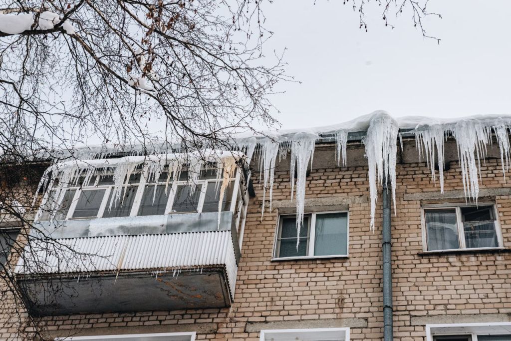 2026-02-17 09.36.04.jpg