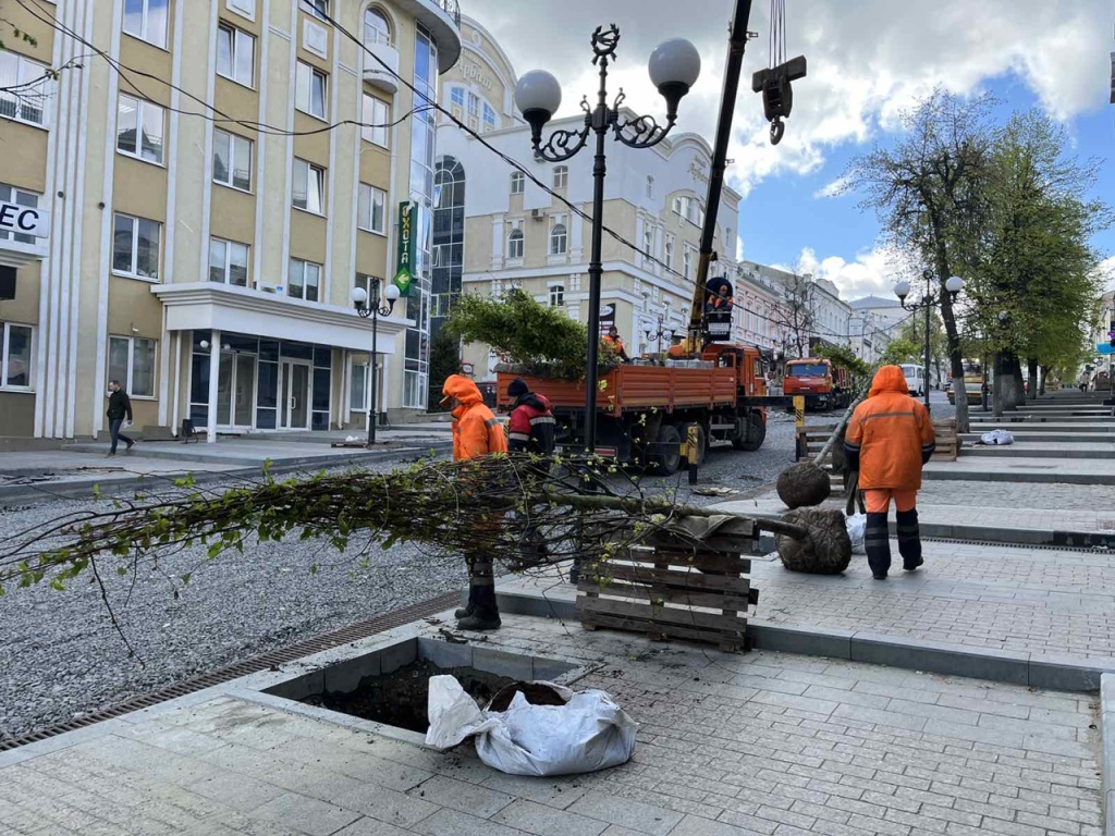 деревья московская2.jpg