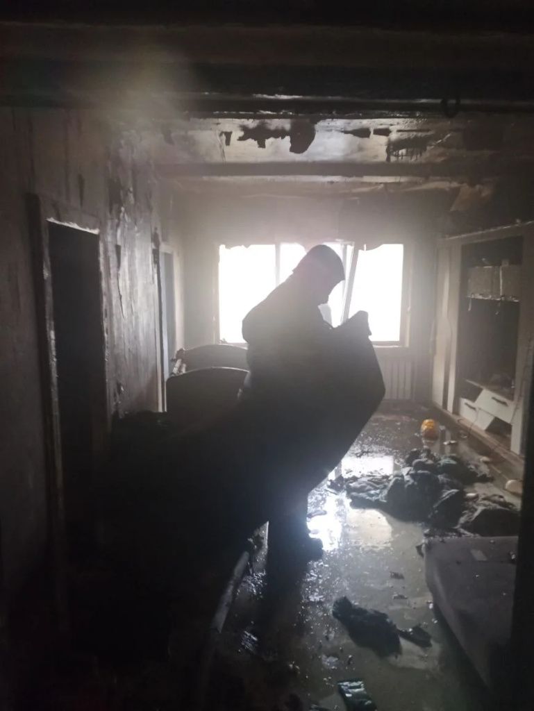 Пожар в Чаадаевке 2 апреля 2026 (1).jpg