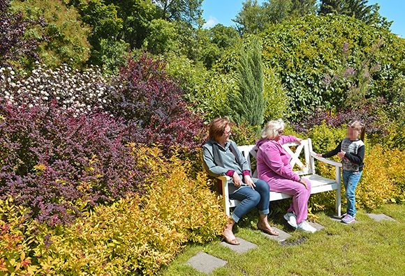 Ботанический сад в Пензе (1).JPG