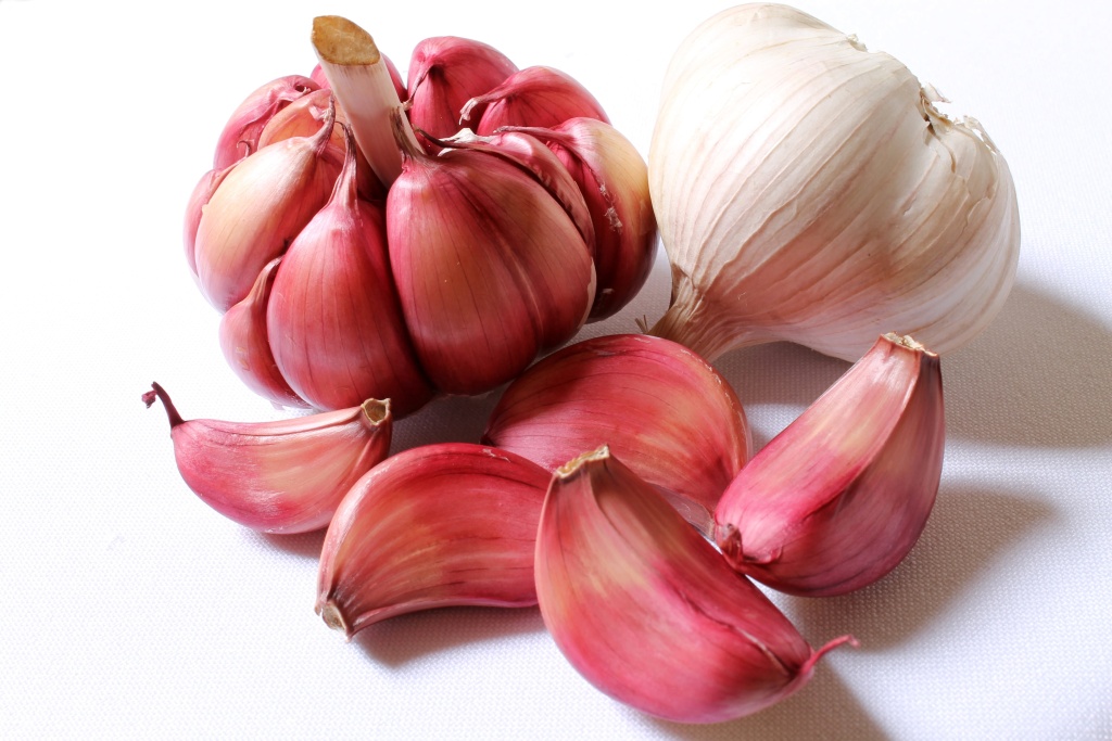 Чеснок piqsels.com-id-sbjvb.jpg