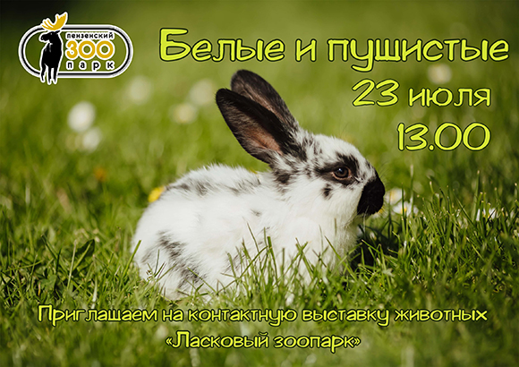 Контактная выставка животных||Фото vk.com/zoo_pnz qyNYLUJ9Bds.jpg