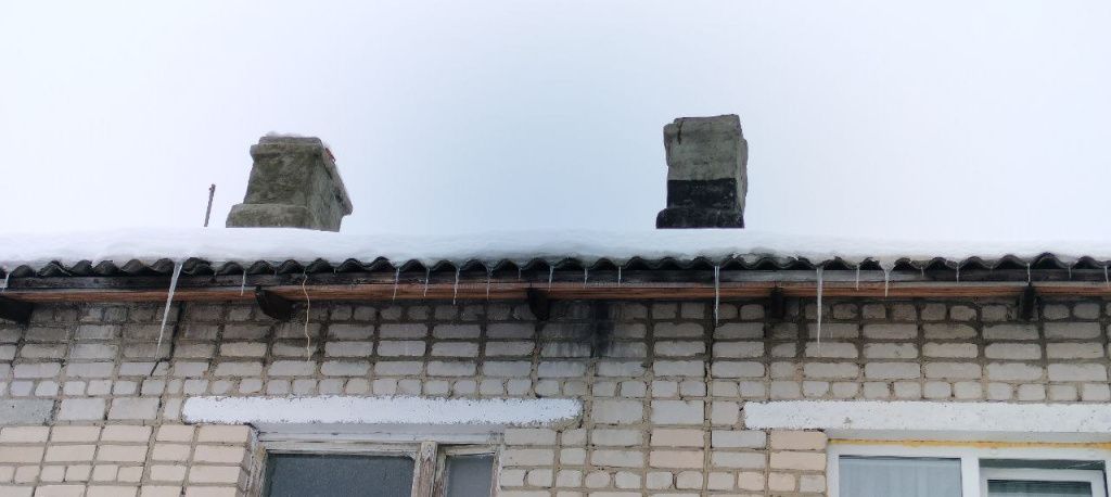 2026-01-19 16.38.14.jpg