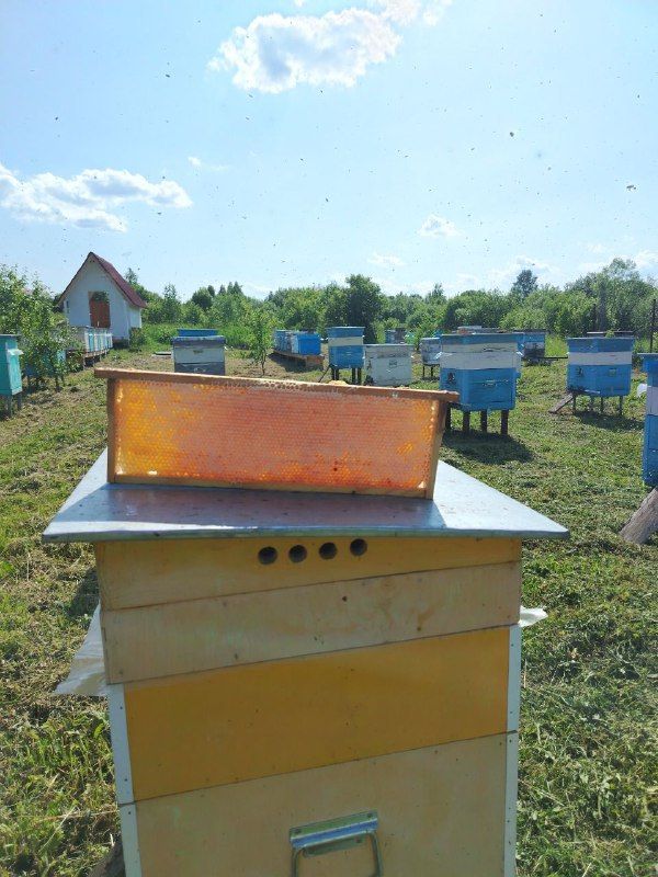 2025-12-17 11.23.40.jpg