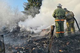 В Бессоновском районе погиб хозяин сгоревшей дачи