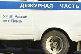 Под Пензой вор в маске ограбил и порезал пенсионерку Под Пензой вор в маске ограбил и порезал пенсионерку
