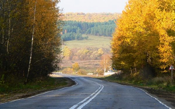 В Бессоновском районе лось попал под колеса автомобиля