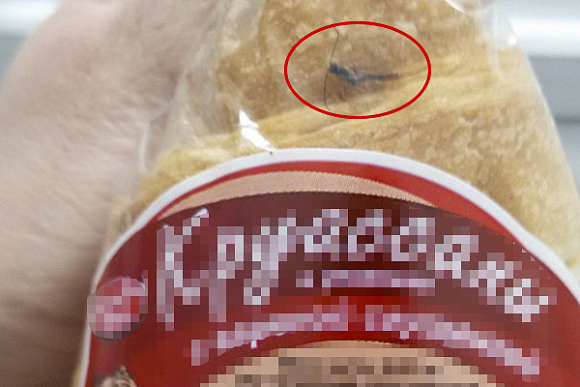 Пензячка поделилась в интернете фотографией круассана с тараканом