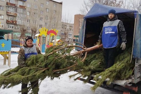 В Железнодорожном районе Пензы установили 70 новогодних елей