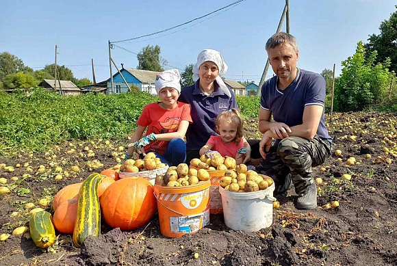 Фотоконкурс «Мой урожай-2024»: подводим итоги