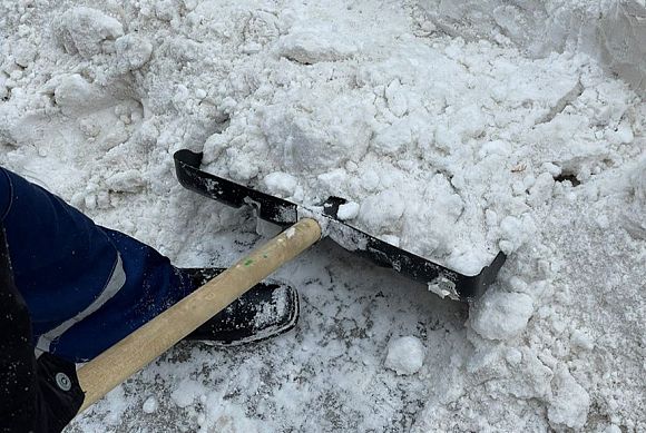 Пензенские законотворцы изучат опыт соседей по наказанию за неубранные дворы