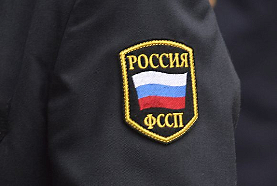 Житель Лунино осужден за угрозы судебному приставу