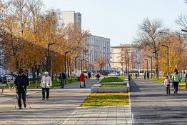 Для пожилых пензенцев работает горячая линия по вакцинации Для пожилых пензенцев работает горячая линия по вакцинации