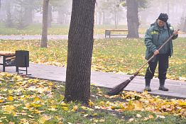 В Пензу возвращается золотая осень