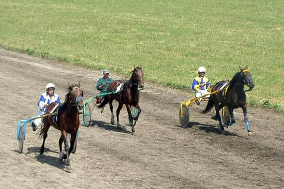 В Пензенской области на День России устроят конные скачки