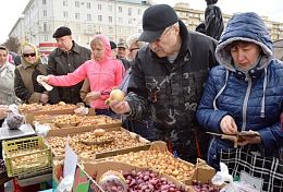 В Пензе работают 12 ярмарок