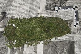 Пензенские полицейские задержали в поезде нижегородца с наркотиками Пензенские полицейские задержали в поезде нижегородца с наркотиками