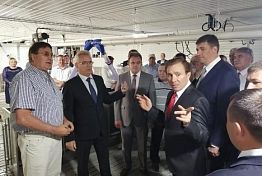 В Пензенском районе открыта новая свиноводческая площадка В Пензенском районе открыта новая свиноводческая площадка