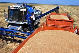 Пензенские аграрии собрали 1,5 млн тонн зерна