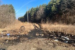 СК возбудил дело после слива в Нижнеломовском районе опасных отходов СК возбудил дело после слива в Нижнеломовском районе опасных отходов