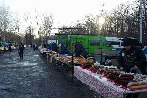Пензенцев приглашают купить кило картофеля за 16 рублей