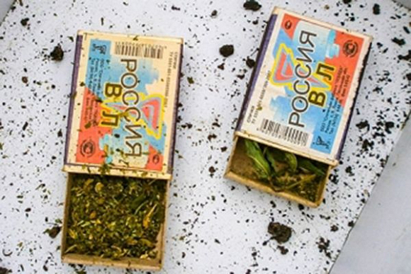 Пензенец хранил в сельском доме 200 коробков марихуаны