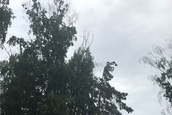 МЧС предупреждает пензенцев о грозе и сильном ветре 6 июня