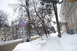 В Пензу на смену «незапланированной весне» придут заморозки В Пензу на смену «незапланированной весне» придут заморозки
