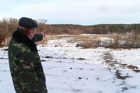 Жители Городищенского района рассказали об аномалиях в лесу