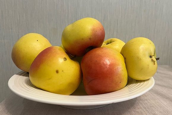 Онколог Алена Журавлева назвала топ-продуктов, способных подавлять раковые клетки