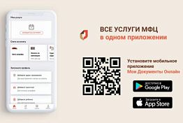 Пензенцы могут получить услуги МФЦ в режиме онлайн
