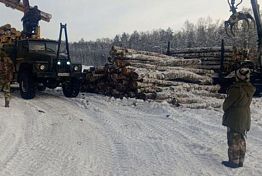В Пензенской области лесные инспекторы провели 2205 рейдов