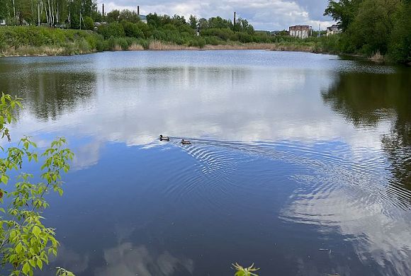 В Никольске благоустроят нижний пруд