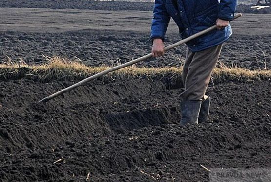 В Пензе продлили дачный сезон