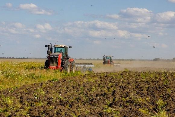 В Пензенской области вернули к жизни заброшенные земли