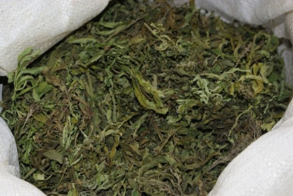 В Иссинском районе 53-летний мужчина хранил в бидонах 27 кг марихуаны