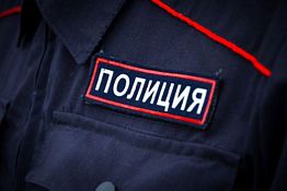 В Сердобском районе злоумышленник похитил пять дубов