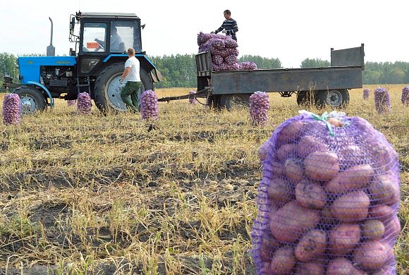 Пензенские аграрии отправятся в Брянскую область за опытом