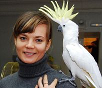 Выставка экзотических животных