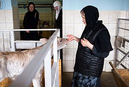 Монахини Троицкой обители молятся за себя и за весь мир Монахини Троицкой обители молятся за себя и за весь мир