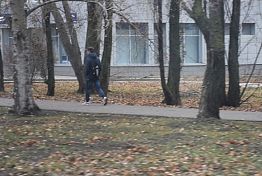 В Пензе уберут опавшие листья и очистят столбы от объявлений В Пензе уберут опавшие листья и очистят столбы от объявлений
