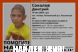 В Пензенской области пропавшего 10-летнего мальчика нашли