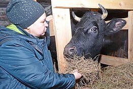 В ожидании 8 ребенка: Как семья из пензенской глубинки корову получила