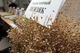 В Пензенской области хотят открыть завод по производству масла рыжика В Пензенской области хотят открыть завод по производству масла рыжика