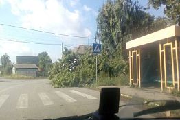 Пензенцы делятся фотографиями последствий урагана Пензенцы делятся фотографиями последствий урагана