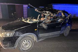 В Городищенском районе два человека погибли при столкновении «Лады» и трактора