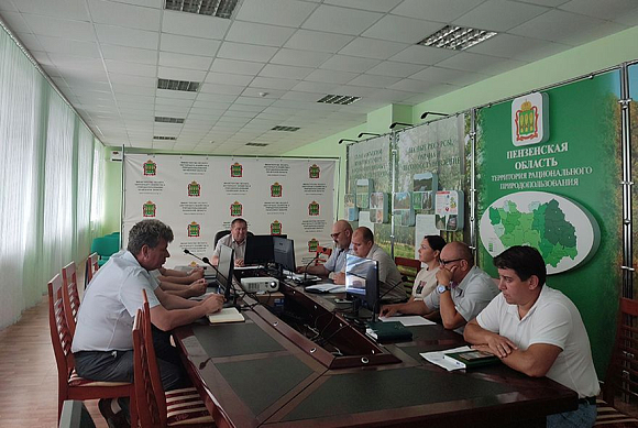 В Пензенской области обсудили меры по сохранению лесов