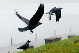 Пензенцев предупреждают о самой сильной геомагнитной буре в 2025