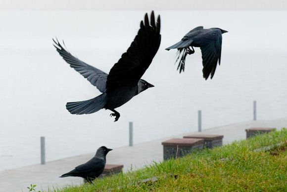 Пензенцев предупреждают о самой сильной геомагнитной буре в 2025