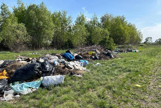 В Белинском районе прокуратура добилась ликвидации свалки